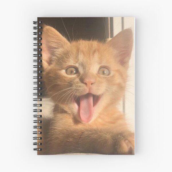 Item preview, Funny Cat  designed and sold by vivovo03.