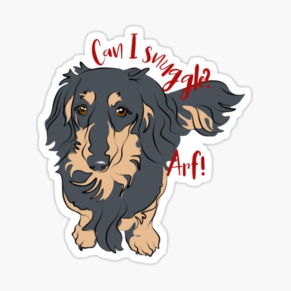 Can I snuggle? Asked by a cute Doxie ... (good for Baby and Kids, too!) Sticker