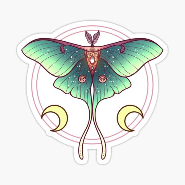 cute little moth vinyl sticker — These Things Shop // cute plushies and  accessories for you