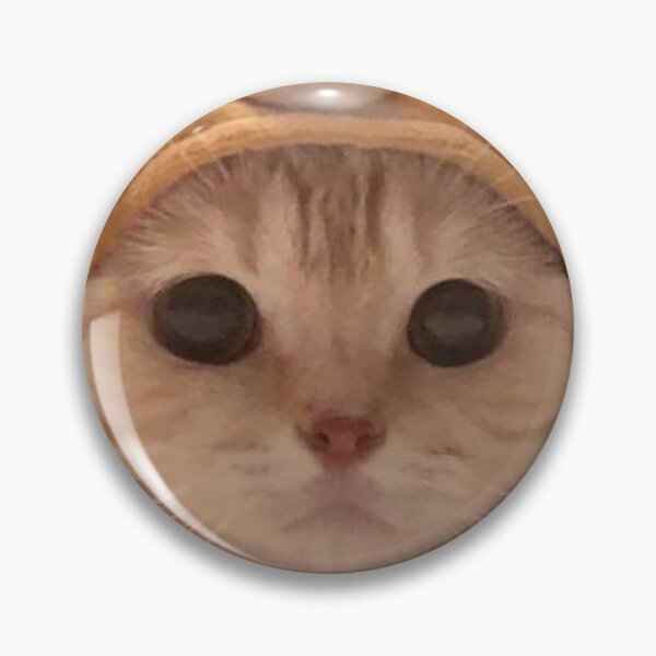 Item preview, Funny cat print designed and sold by vivovo03.