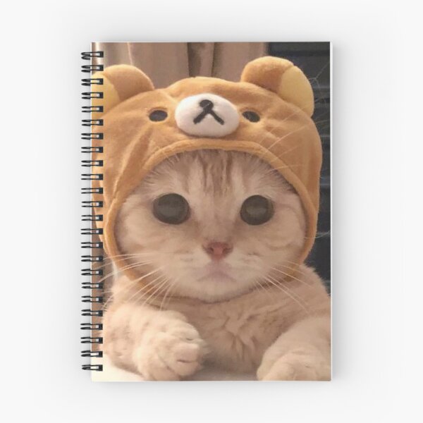Item preview, Funny cat print designed and sold by vivovo03.