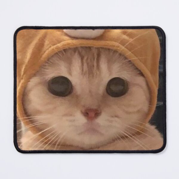 Item preview, Funny cat print designed and sold by vivovo03.