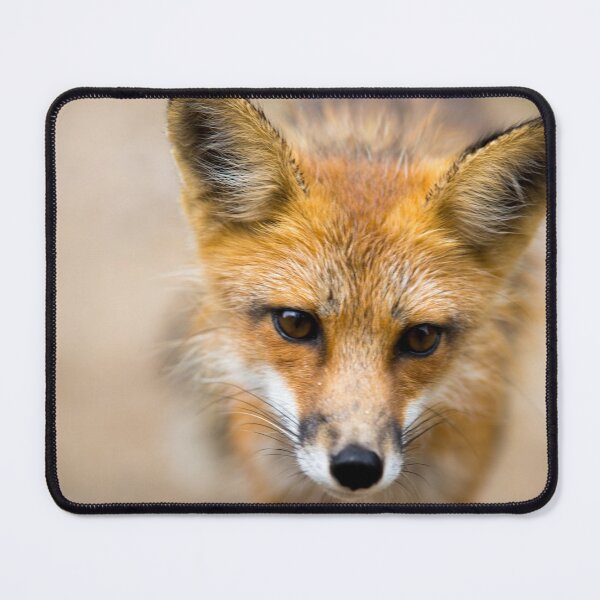 Item preview, Red Fox designed and sold by EleanorWalker.