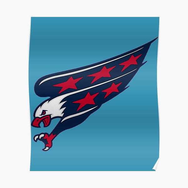 Washington Capitals flag, NHL, blue red metal background, american