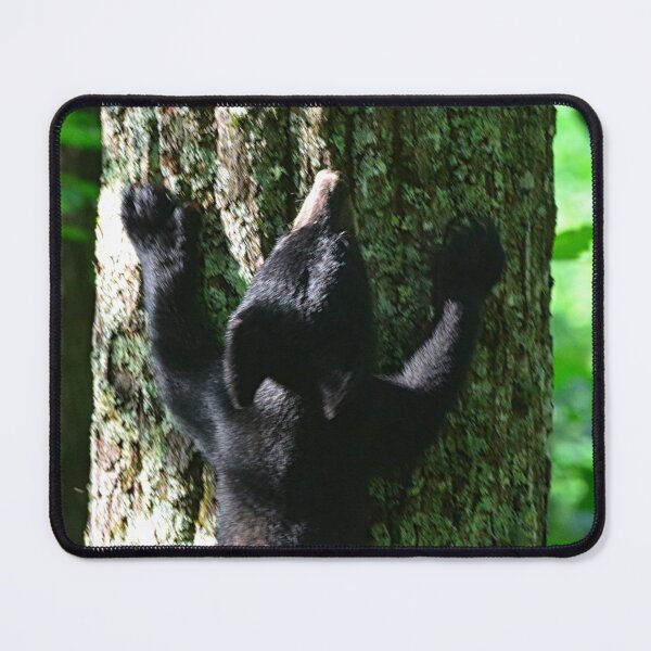 Item preview, Baby Black Bear Heading Up A Tree designed and sold by LisaWootenPhoto.