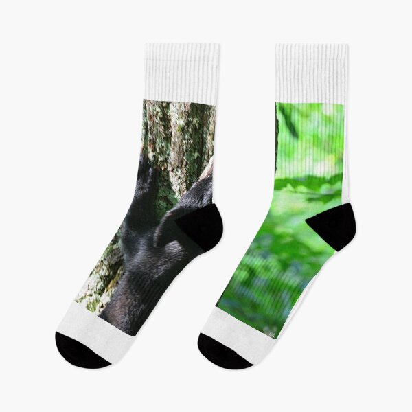 Item preview, Baby Black Bear Heading Up A Tree designed and sold by LisaWootenPhoto.