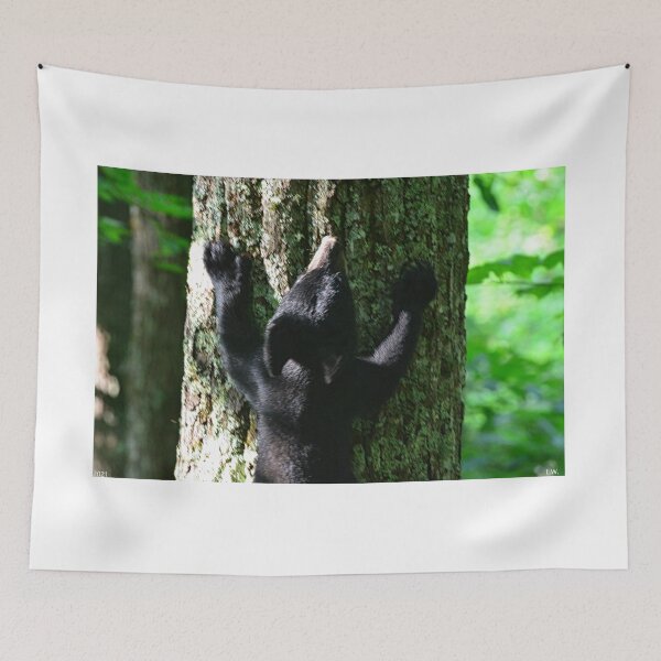 Item preview, Baby Black Bear Heading Up A Tree designed and sold by LisaWootenPhoto.