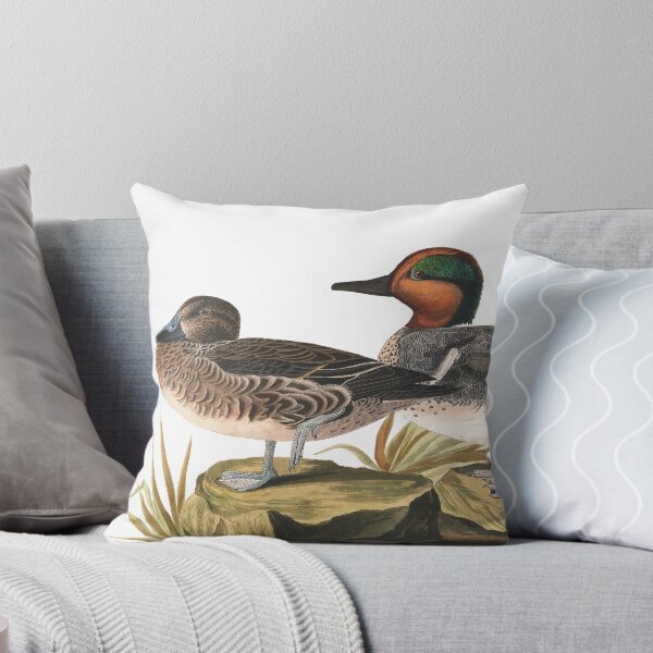 Item preview, Green winged Teal - John James Audubon designed and sold by billythekidtees.