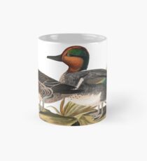Green winged Teal - John James Audubon Mug