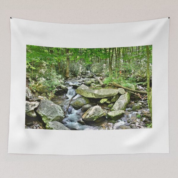 Item preview, Roaring Fork Stream Great Smoky Mountains designed and sold by LisaWootenPhoto.