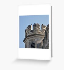 Perched Greeting Card
