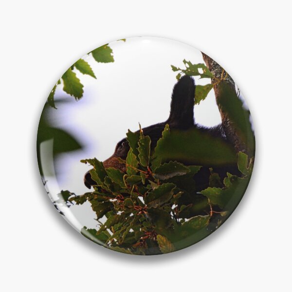 Item preview, Momma Black Bear Foraging For Food  designed and sold by LisaWootenPhoto.