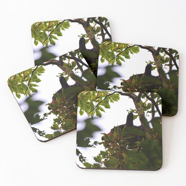 Item preview, Momma Black Bear Foraging For Food  designed and sold by LisaWootenPhoto.
