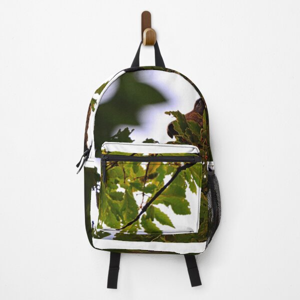Item preview, Momma Black Bear Foraging For Food designed and sold by LisaWootenPhoto.