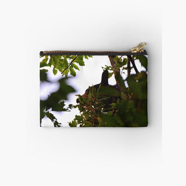 Item preview, Momma Black Bear Foraging For Food  designed and sold by LisaWootenPhoto.