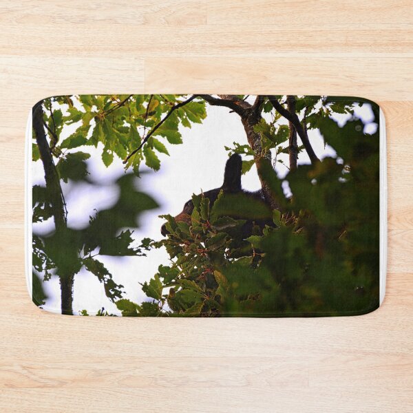 Item preview, Momma Black Bear Foraging For Food  designed and sold by LisaWootenPhoto.