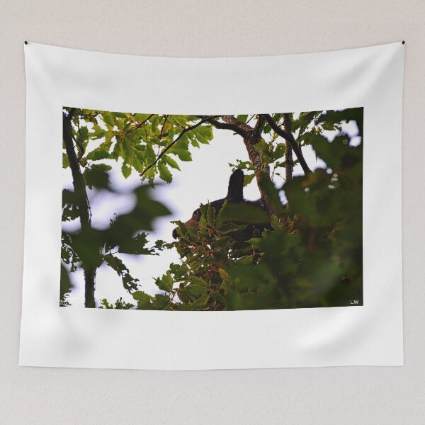 Item preview, Momma Black Bear Foraging For Food  designed and sold by LisaWootenPhoto.
