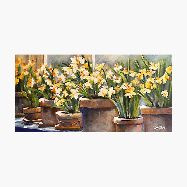 Sunshine on My Window Sill Photographic Print