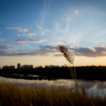 Artwork thumbnail, Saskatoon Sunset by EleanorWalker