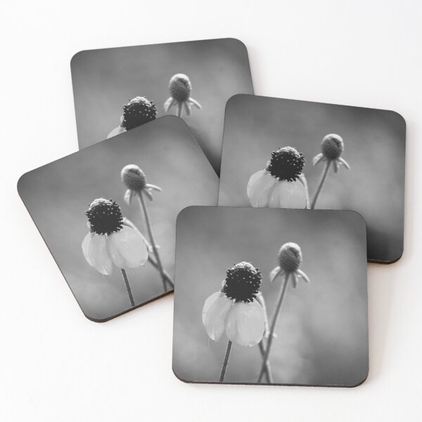 Item preview, Coneflower designed and sold by EleanorWalker.