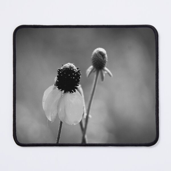 Item preview, Coneflower designed and sold by EleanorWalker.