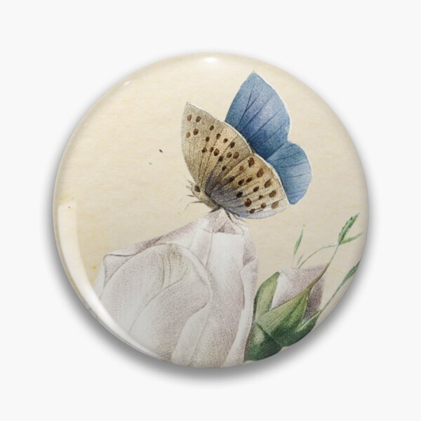 Item preview, White Bengal Tea Rose by Redouté, 1827 (édition classique) designed and sold by GalBotanique.