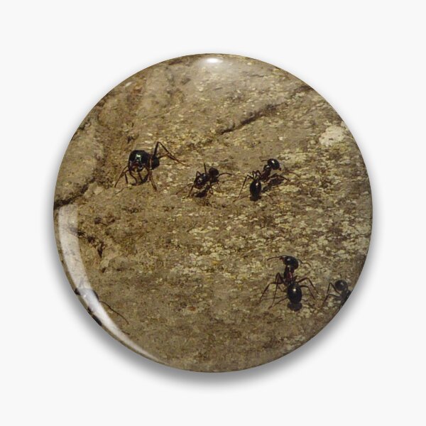 Item preview, ants designed and sold by Perggals© - Stacey Turner.