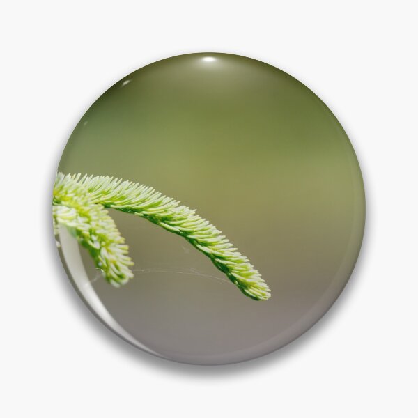 Item preview, Evergreen Branch designed and sold by EleanorWalker.