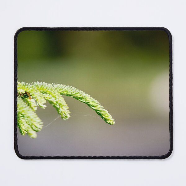 Item preview, Evergreen Branch designed and sold by EleanorWalker.