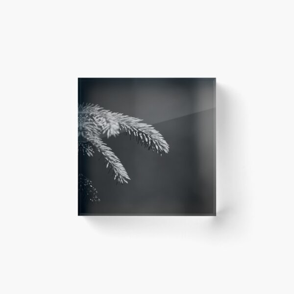 Item preview, Evergreen Branch Black and White designed and sold by EleanorWalker.