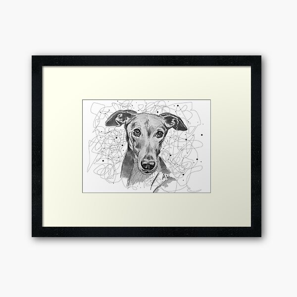 Galgo girl Framed Art Print