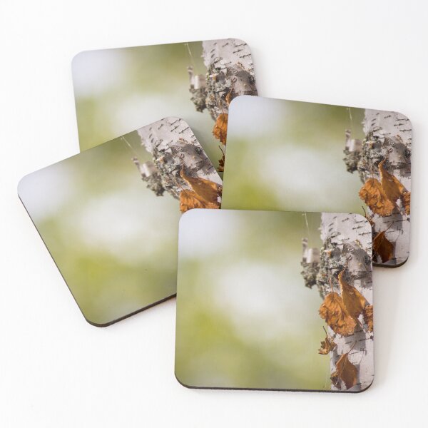 Item preview, Birch Tree designed and sold by EleanorWalker.