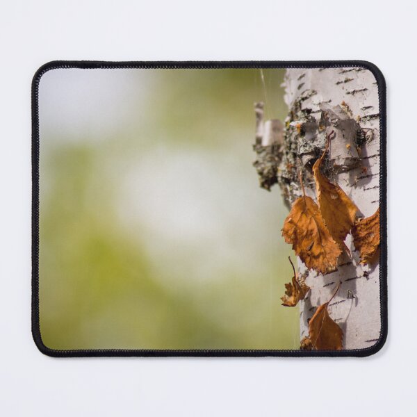 Item preview, Birch Tree designed and sold by EleanorWalker.