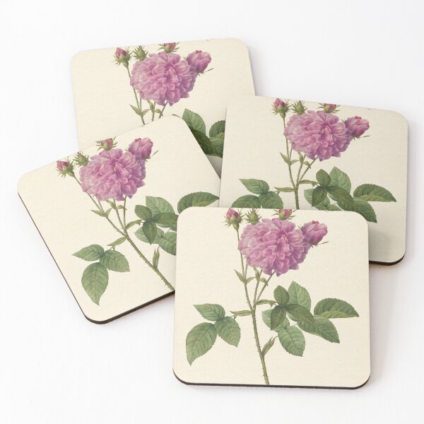 Item preview, Agatha Rose by Redouté, édition classique designed and sold by GalBotanique.