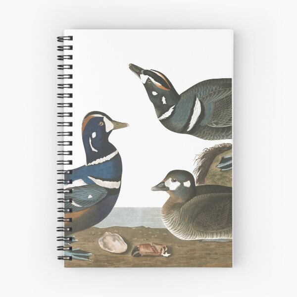 Item preview, Harlequin Duck - John James Audubon designed and sold by billythekidtees.