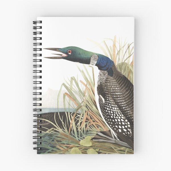 Item preview,  Common Loon - John James Audubon designed and sold by billythekidtees.