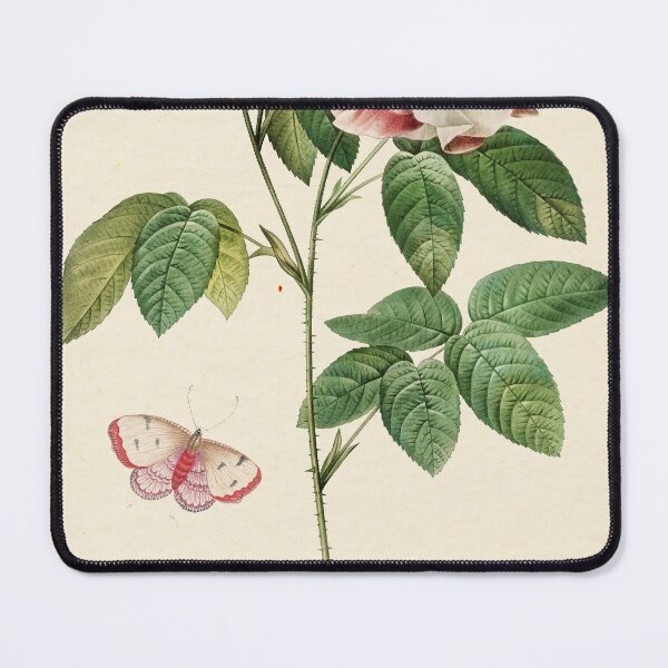 Item preview, French Provencal Rose by Redouté, édition classique designed and sold by GalBotanique.