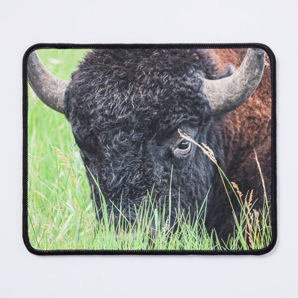 Item preview, Staring Contest designed and sold by Jordan Hinsch.