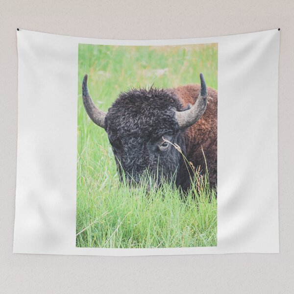 Item preview, Staring Contest designed and sold by Jordan Hinsch.