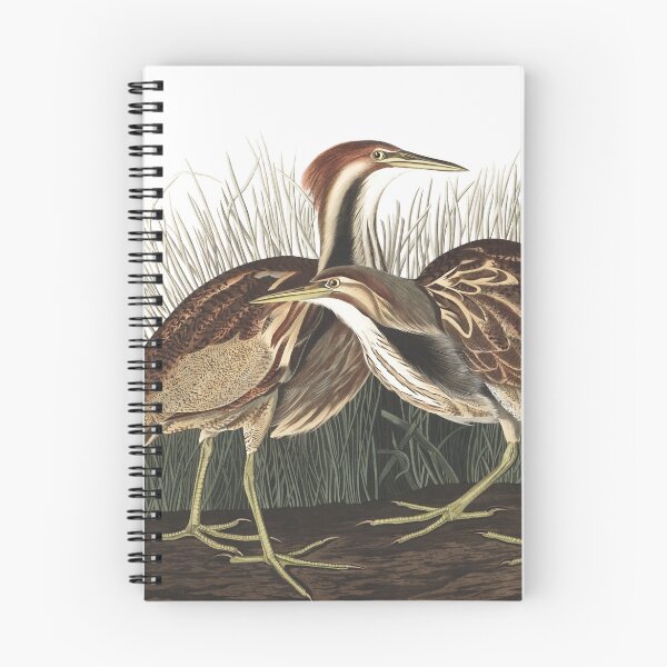 Item preview, American Bittern - John James Audubon designed and sold by billythekidtees.