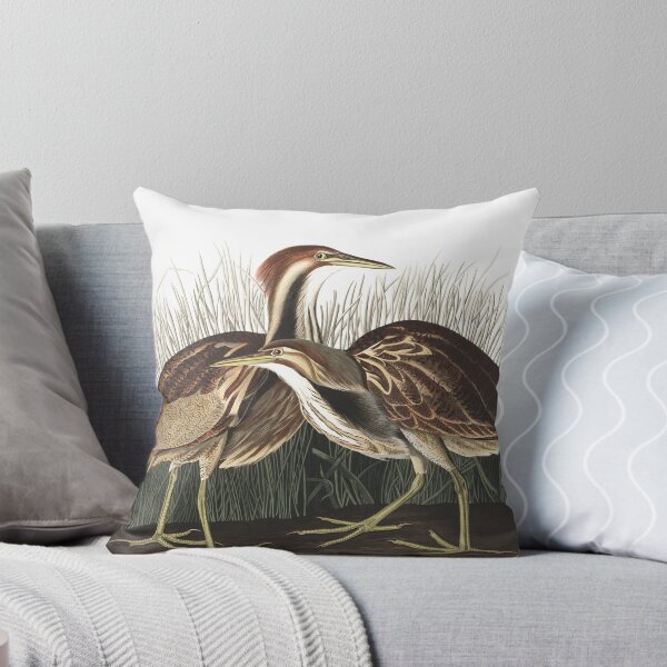 Item preview, American Bittern - John James Audubon designed and sold by billythekidtees.