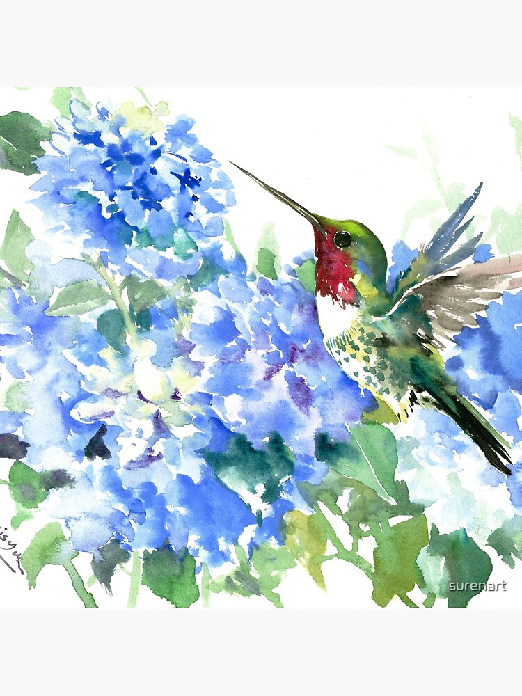 Hydrangea Flowers and Hummingbird by surenart