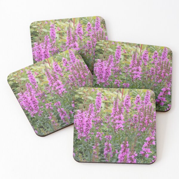 Item preview, bright wildflower Lythrum salicaria  designed and sold by mrivserg.