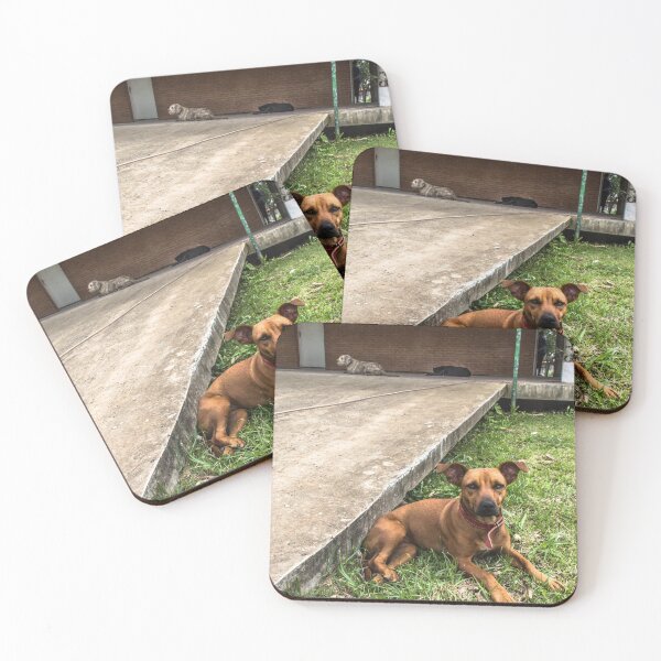 Item preview, nina bitch and other dogs. designed and sold by Nino rocha fotografia.