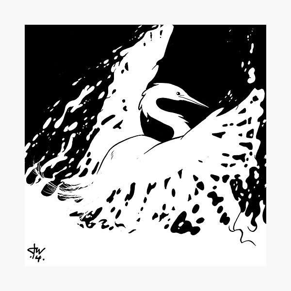 Water Phenix Photographic Print