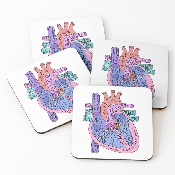 Item preview, anatomical heart  designed and sold by noellehelms.