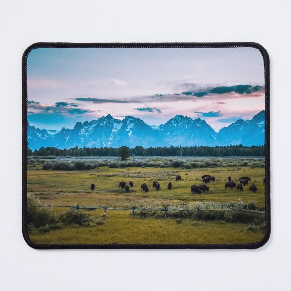 Item preview, Bison Grazing the Tetons designed and sold by Jordan Hinsch.