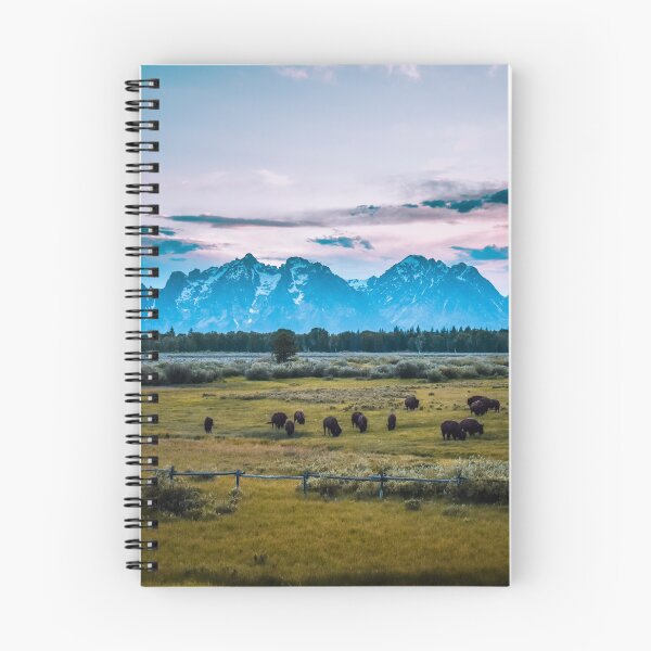 Item preview, Bison Grazing the Tetons designed and sold by Jordan Hinsch.