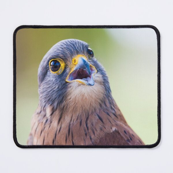 Item preview, Puzzled hawk designed and sold by PET-SHIRTS.