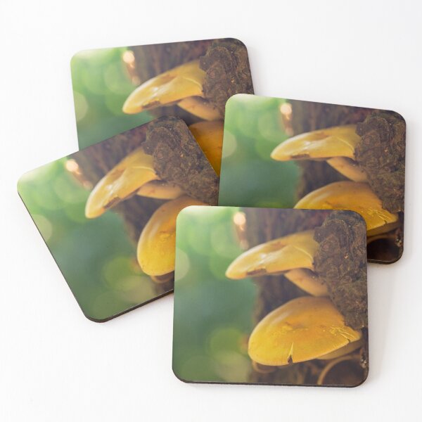 Item preview, Mushrooms on a tree trunk designed and sold by BBPGallery.